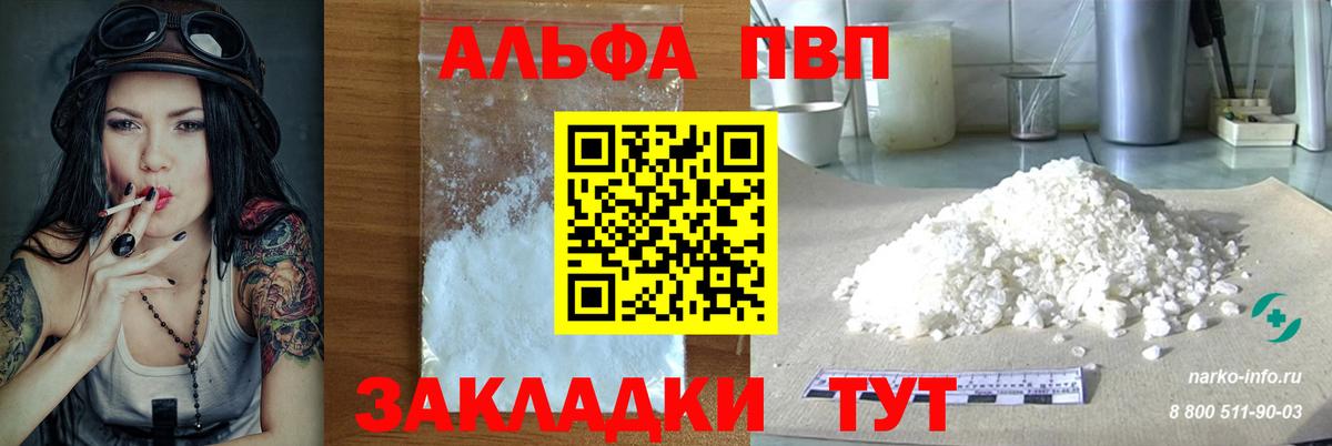 A PVP СК КРИС Старая Русса