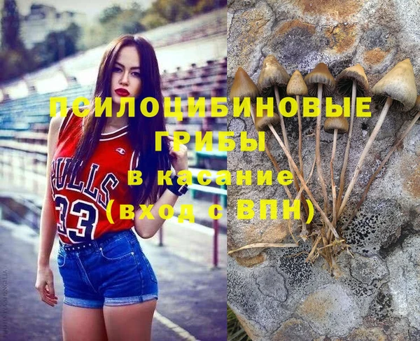 стаф Михайловка