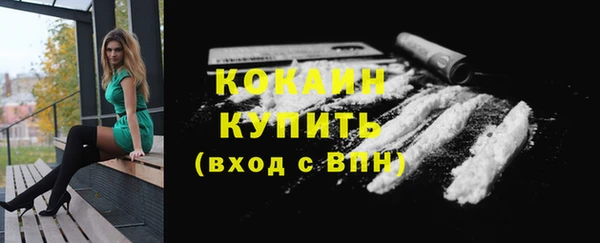 сатива Наволоки