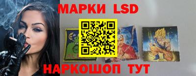 МДПВ Можга