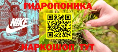 МДПВ Можга