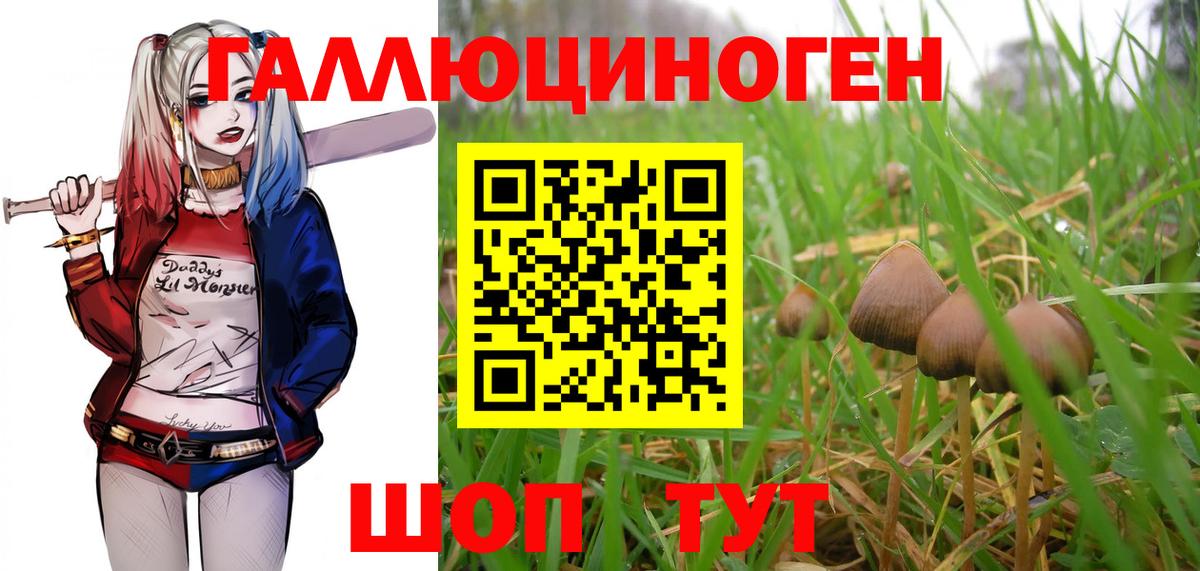 Галлюциногенные грибы Magic Shrooms Старая Русса