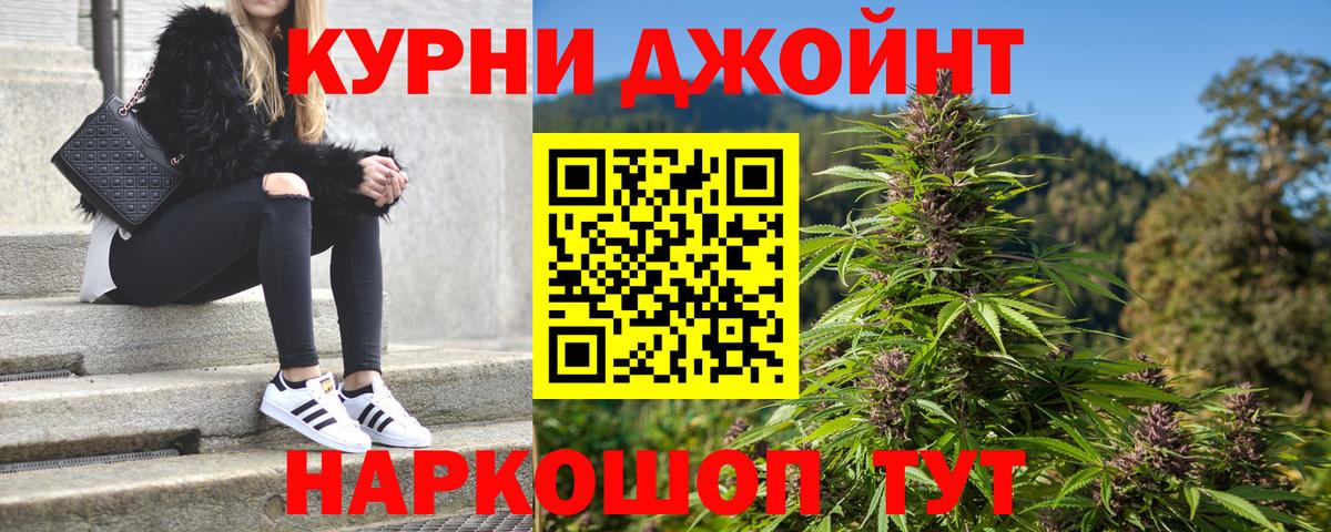 Бошки Шишки семена  МАРИХУАНА индика  Марихуана гибрид  Старая Русса  Вход с VPN 